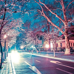 Meet your Posher, Marcella